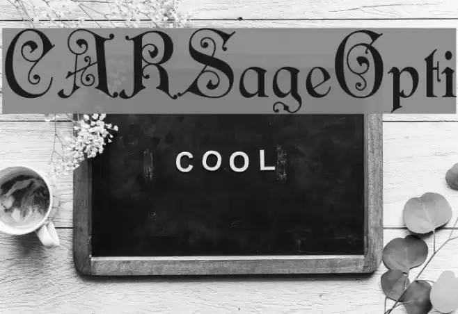 CARSageOpti Font examples