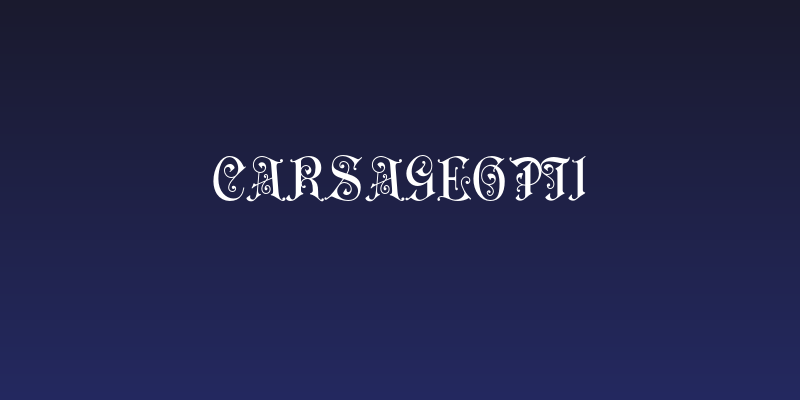 CARSageOpti Social Header