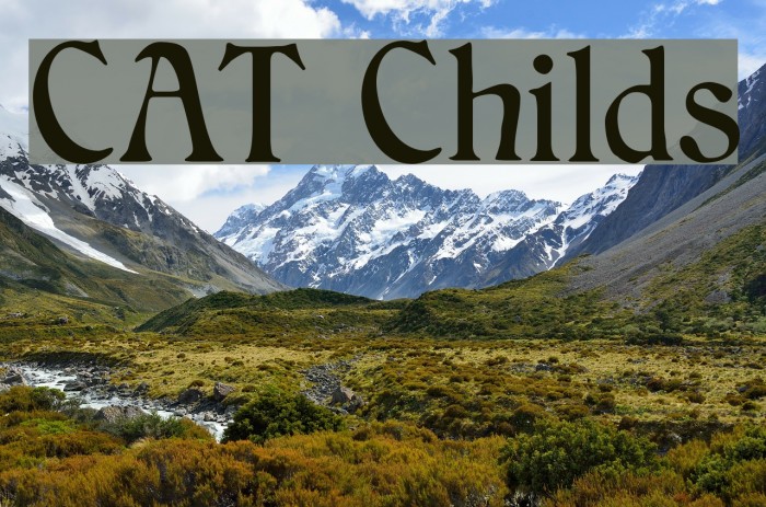 CAT Childs Font examples