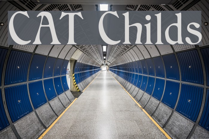 CAT Childs Font examples