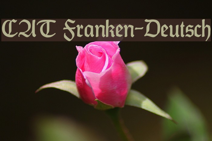 CAT Franken-Deutsch Font examples