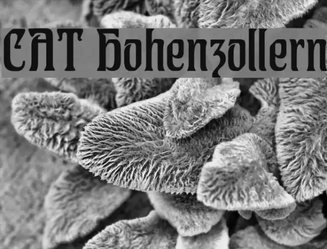 CAT Hohenzollern Font examples
