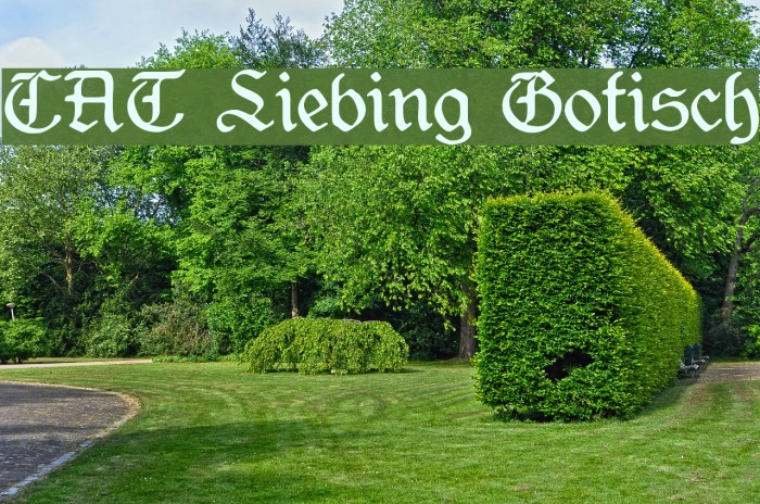 CAT Liebing Gotisch Font examples