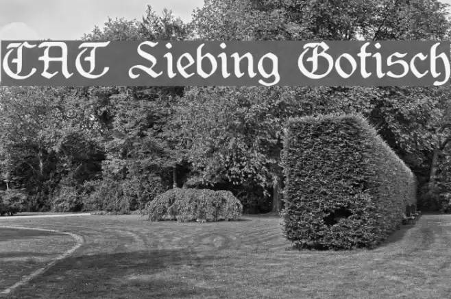 CAT Liebing Gotisch フォント examples
