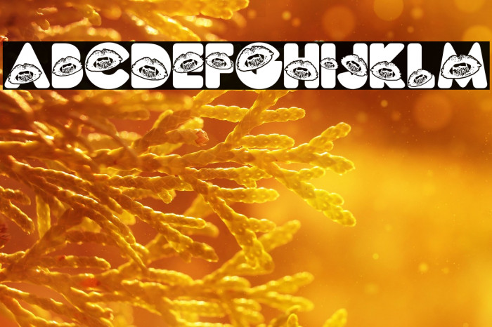 CAT PEOPLE PERSONAL USE Bold Example 2