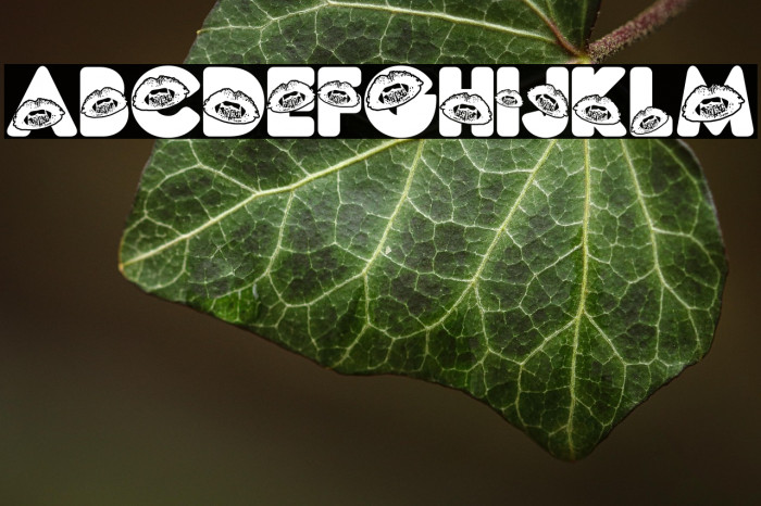 CAT PEOPLE PERSONAL USE Bold Example 3