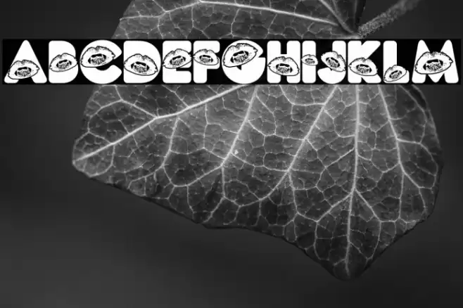 CAT PEOPLE PERSONAL USE Bold Schriftart examples