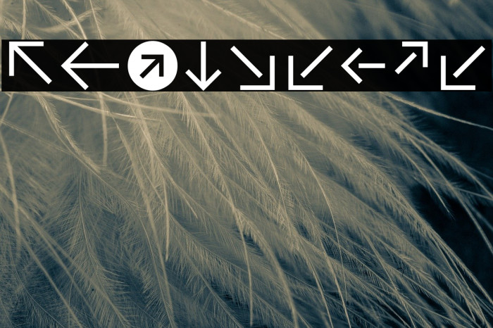 CAT Pfeile Example 1