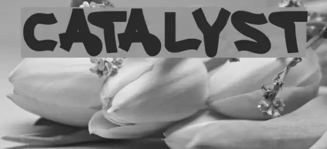 CATALYST Font examples