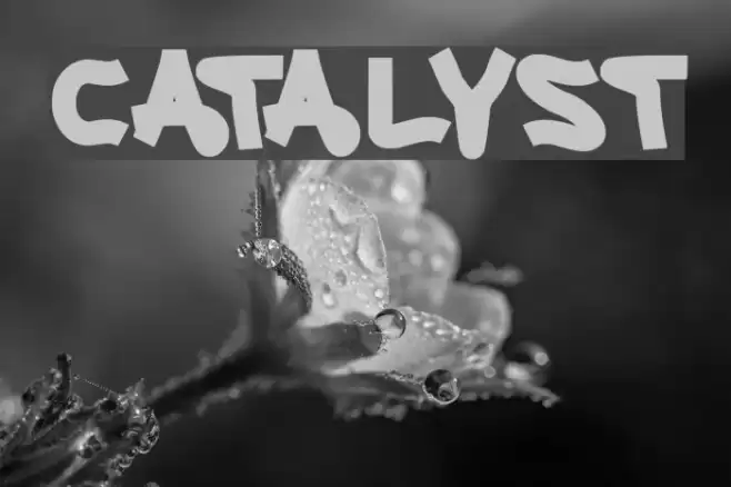 CATALYST Font examples