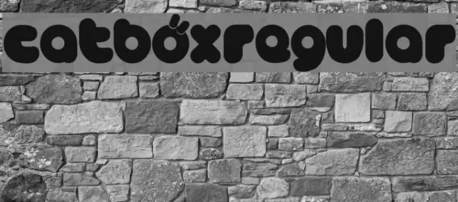 CATBÖXRegular Fuentes examples