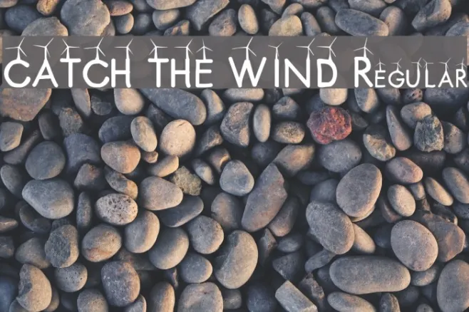 CATCH THE WIND Regular Example 1