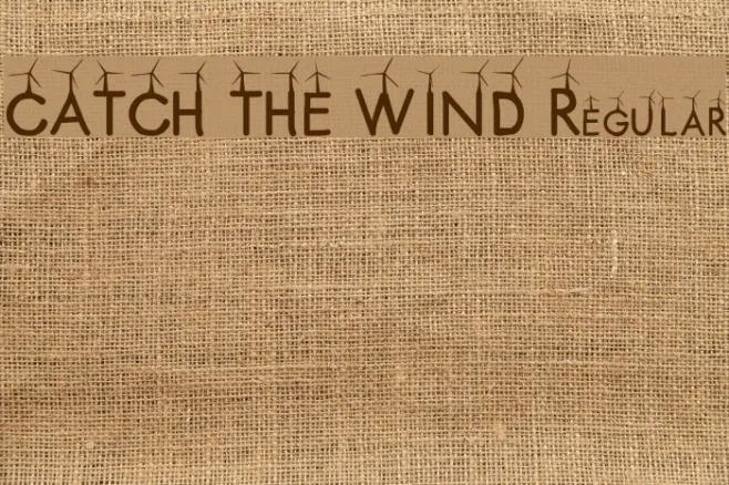 CATCH THE WIND Regular Example 2