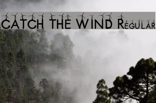 CATCH THE WIND Regular Example 3
