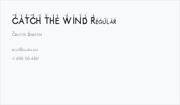 CATCH THE WIND Regular Business Card