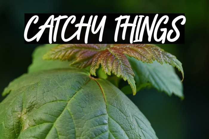 CATCHY THINGS Example 3