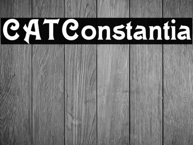CATConstantia Font examples