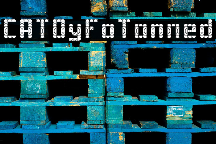 CATDyFaTanned Font examples