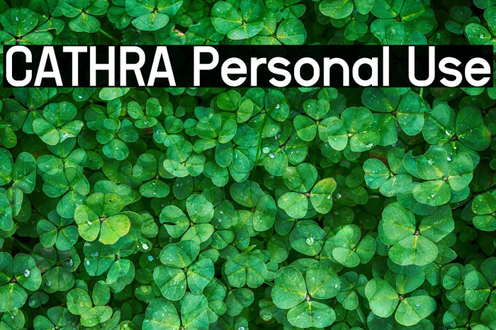 CATHRA Personal Use Example 1