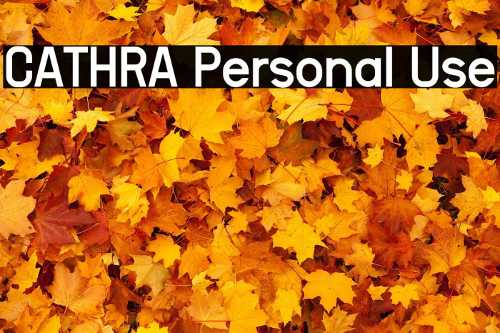 CATHRA Personal Use Example 2