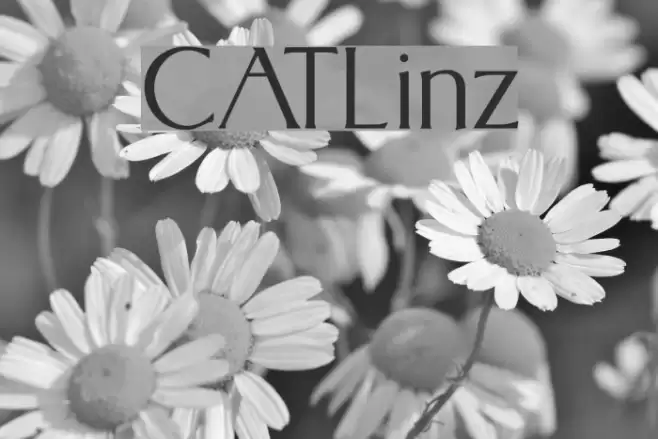 CATLinz Font examples