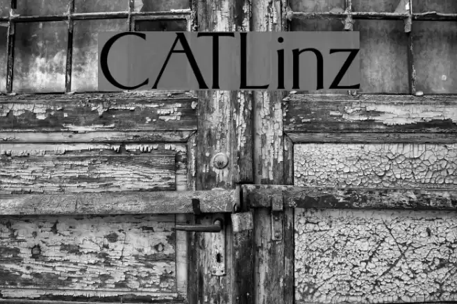 CATLinz Font examples