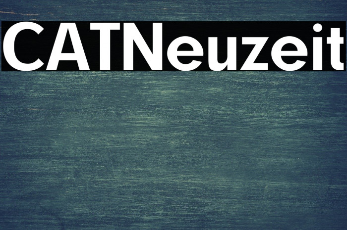 CATNeuzeit Font examples