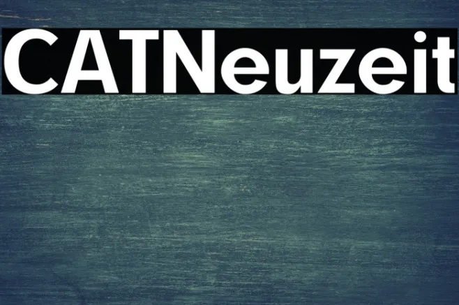 CATNeuzeit Example 1