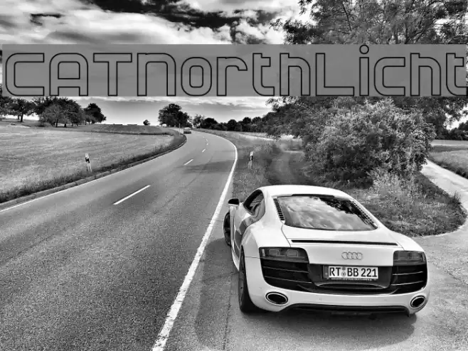 CATNorthLicht Шрифта examples