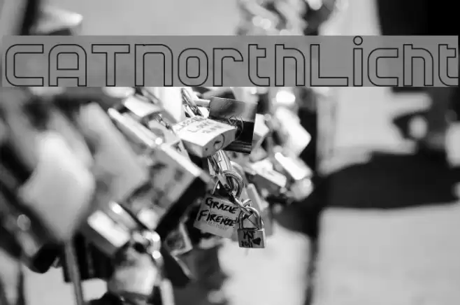 CATNorthLicht Шрифта examples