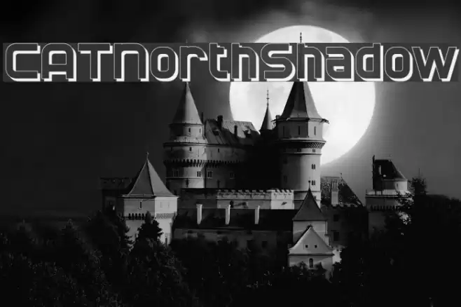 CATNorthShadow Font examples