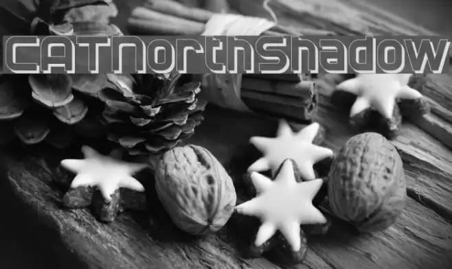 CATNorthShadow Font examples