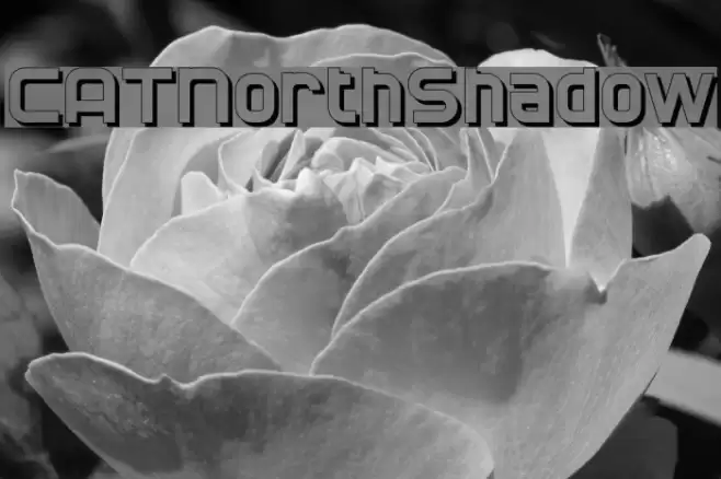 CATNorthShadow Font examples
