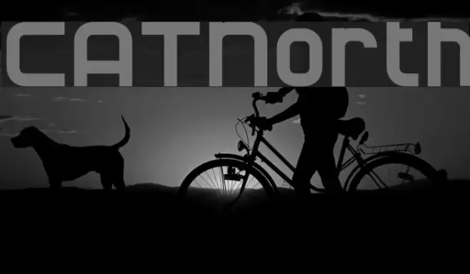 CATNorth Шрифта examples