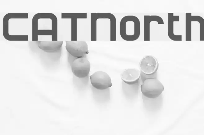 CATNorth Шрифта examples