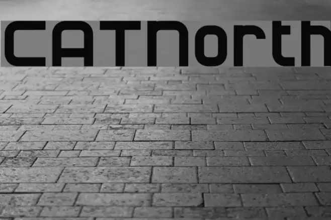CATNorth Шрифта examples
