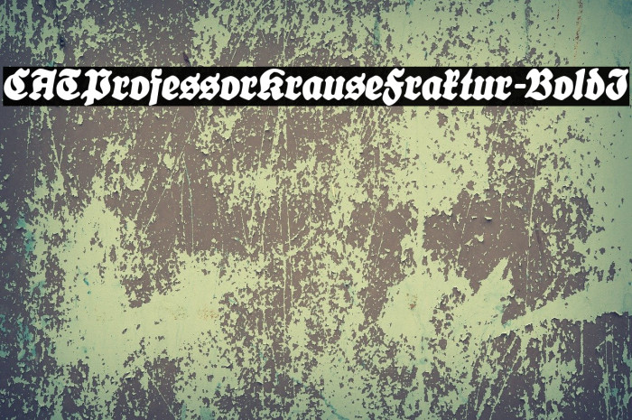 CATProfessorKrauseFraktur-BoldI Font examples