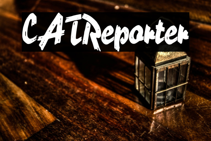 CATReporter Example 1