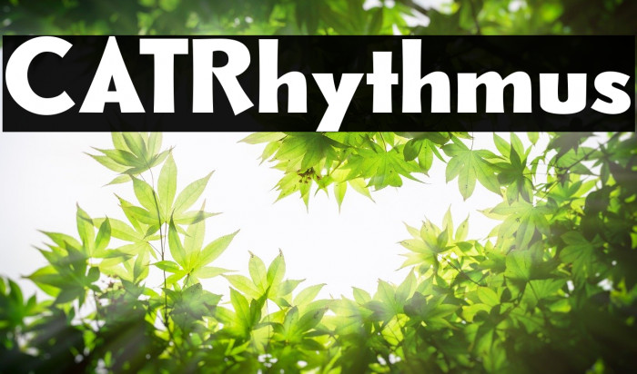 CATRhythmus Font examples