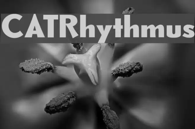 CATRhythmus Font examples