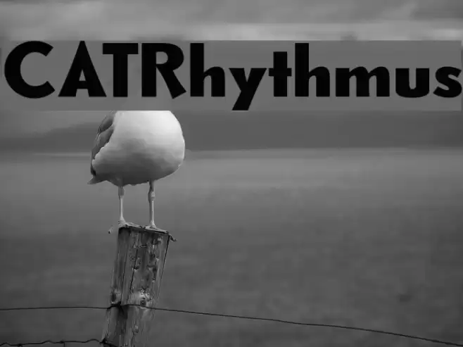 CATRhythmus Font examples