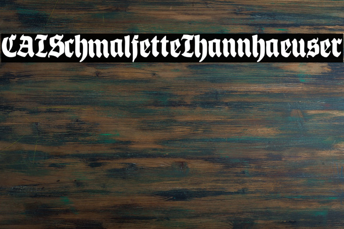 CATSchmalfetteThannhaeuser Font examples