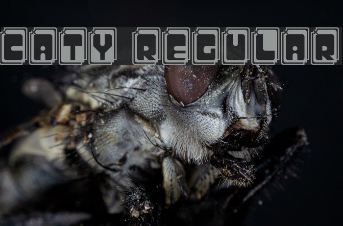 CATY Regular Font examples