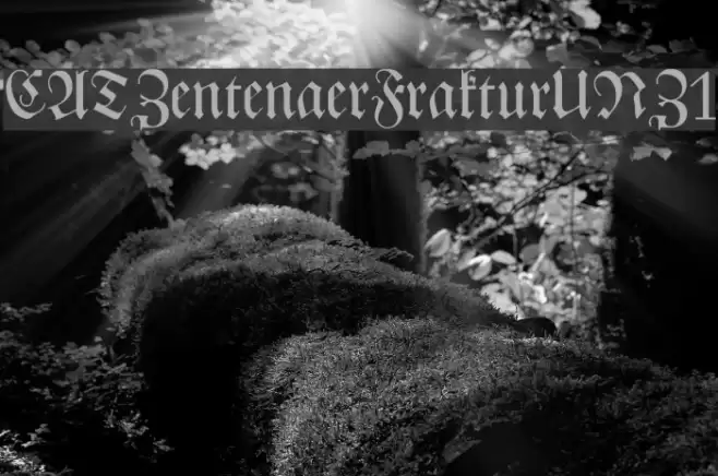CATZentenaerFrakturUNZ1 Font examples