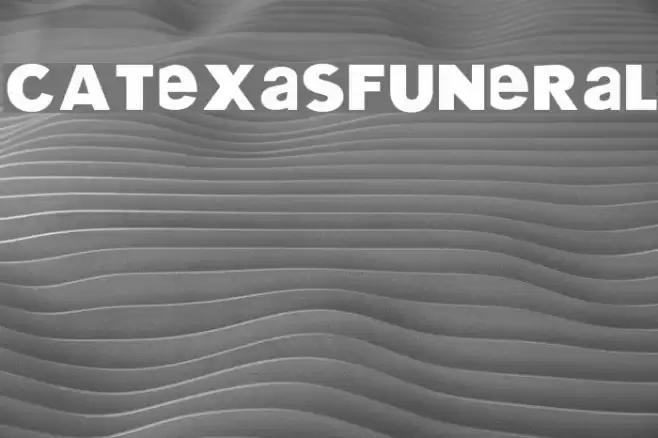 CATexasFuneral Font examples