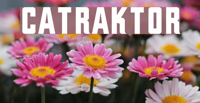 CATraktor Font examples