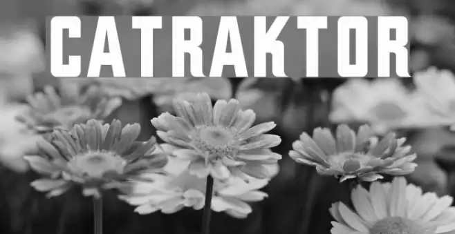 CATraktor Font examples