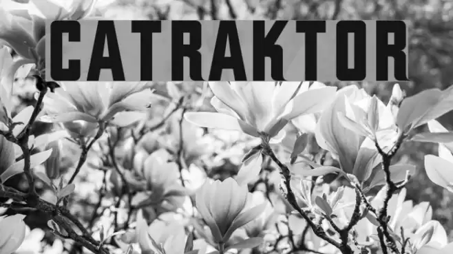 CATraktor Font examples