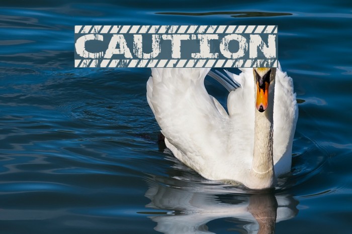 CAUTION Font examples