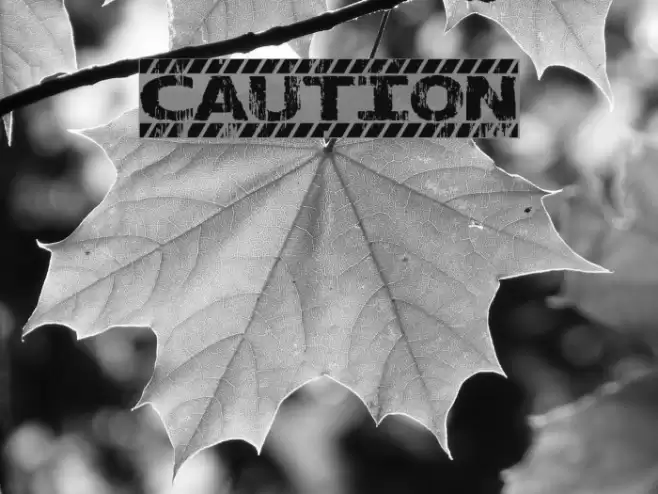 CAUTION Font examples